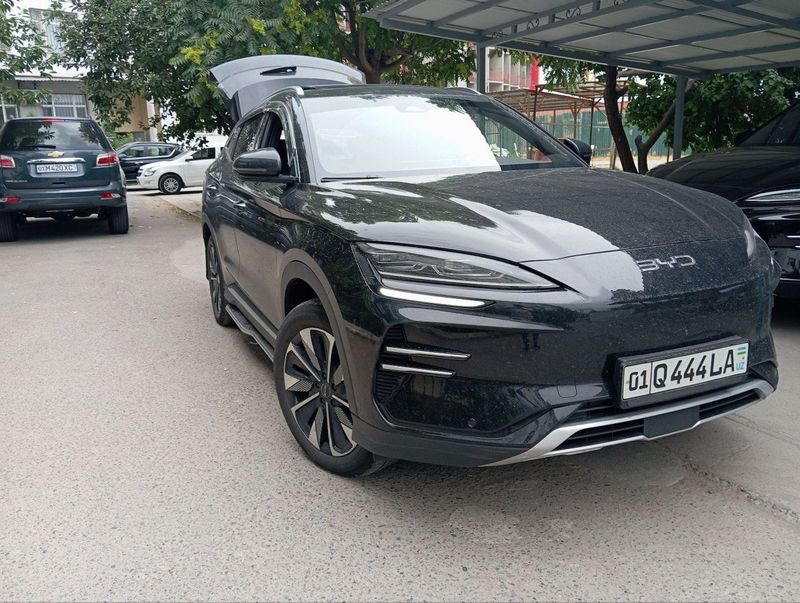 BYD chempion sotiladi 2024 BYD chempion sotiladi 2024