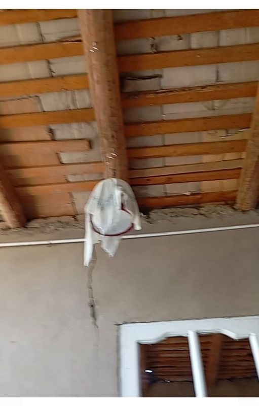 Sayroqi bedanalar sotiladi narxini kelishtirib beraman Sayroqi bedanalar sotiladi narxini kelishtirib beraman
