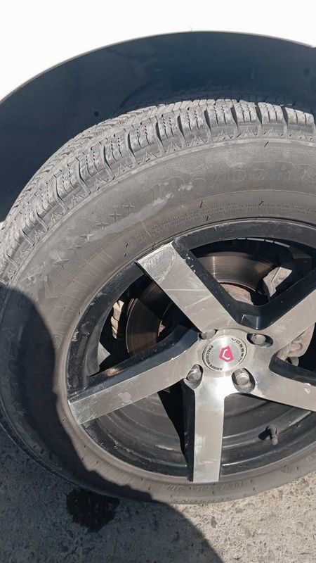 Янги балон хали куп юрмаган адашиб олган
