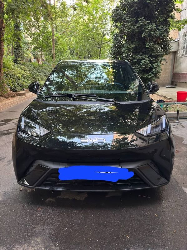 Byd Seagull 2024 Byd Seagull 2024