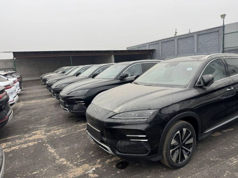 Byd chempion 2025 eng full (notarius) Byd chempion 2025 eng full (notarius)