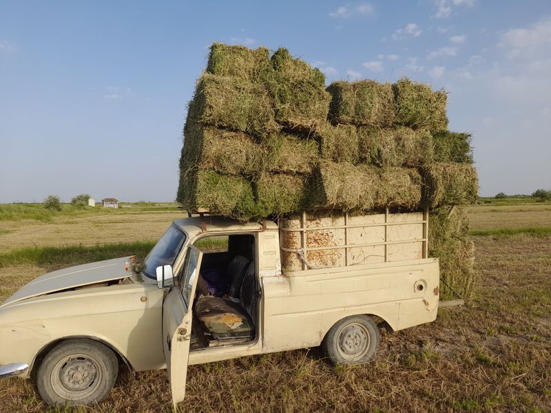 Хамаси зур газини босинг