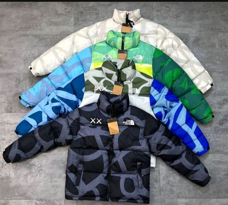 Куртка The North Face x Kaws