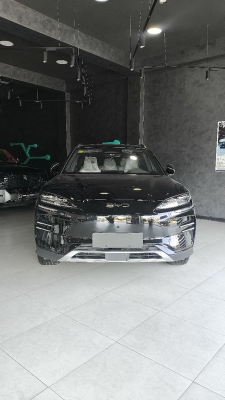 BYD Champion Smart BYD Champion Smart
