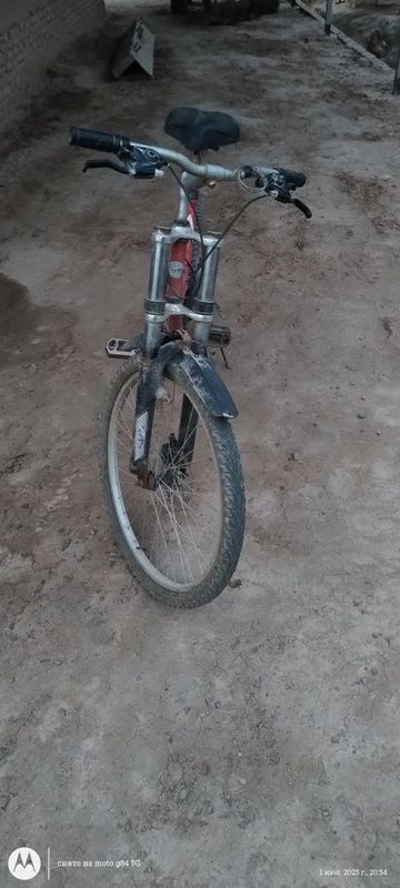 Velik skorsli zor Velik skorsli zor