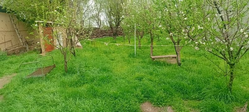 12мертга 43 метели ер участками срочно сотаман 12мертга 43 метели ер участками срочно сотаман