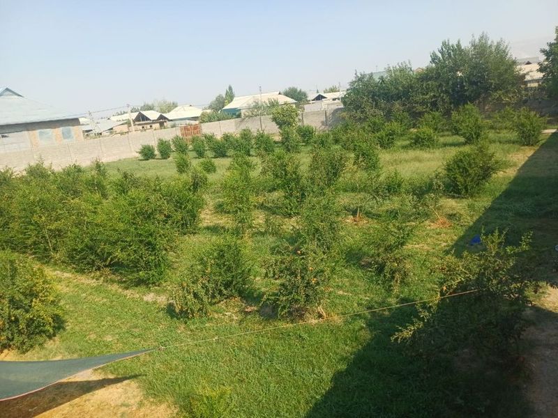 Yer uchastka Sotiladi Srochna 30 sotix Yer uchastka Sotiladi Srochna 30 sotix