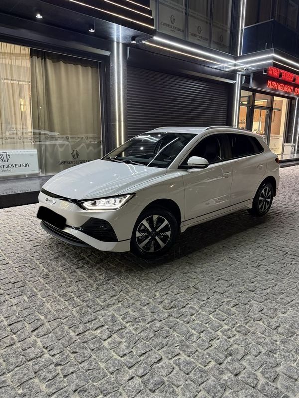 Byd e2 Luxury 405 km 8.900пробег