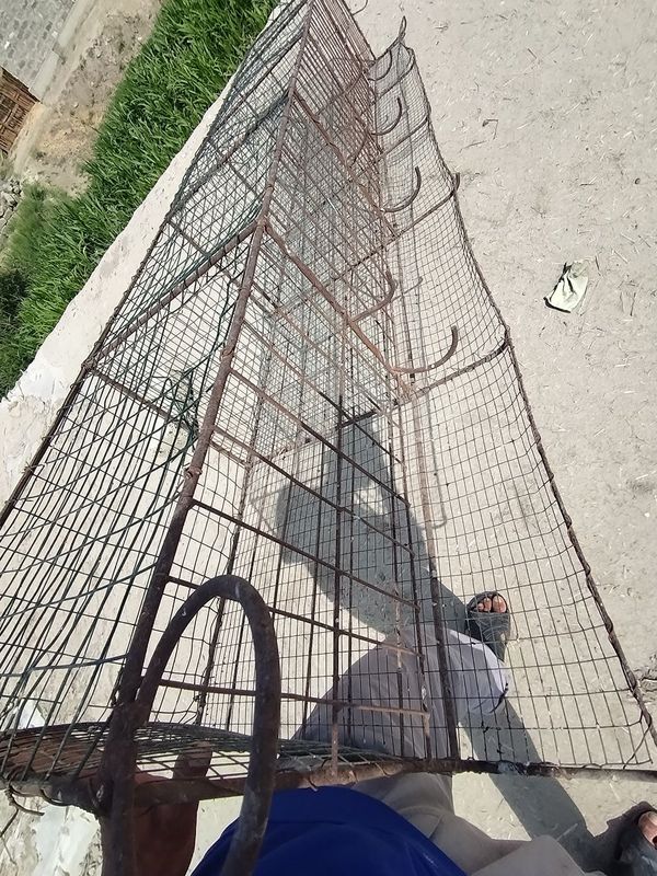 Товук уйлари 200 тага йетади Товук уйлари 200 тага йетади