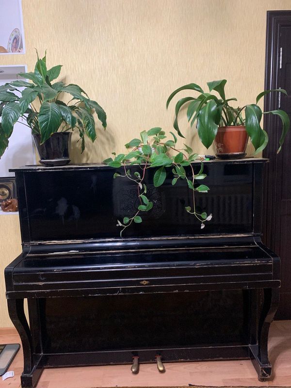 Пианино «Беларусь» цена 50$