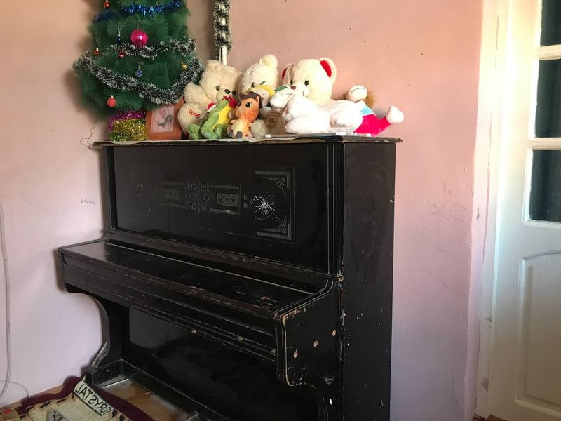 Чёрный Беларусь пионнино Чёрный Беларусь пионнино
