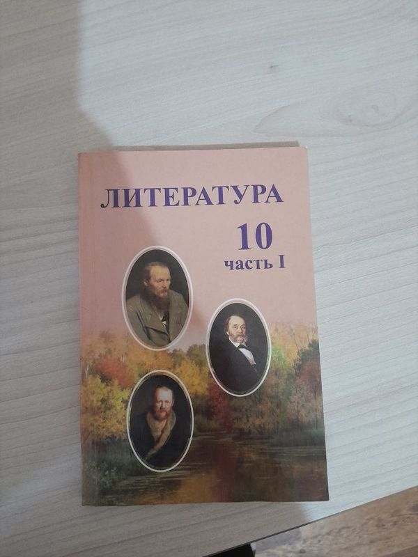 Книга по литературе 10 класс Книга по литературе 10 класс