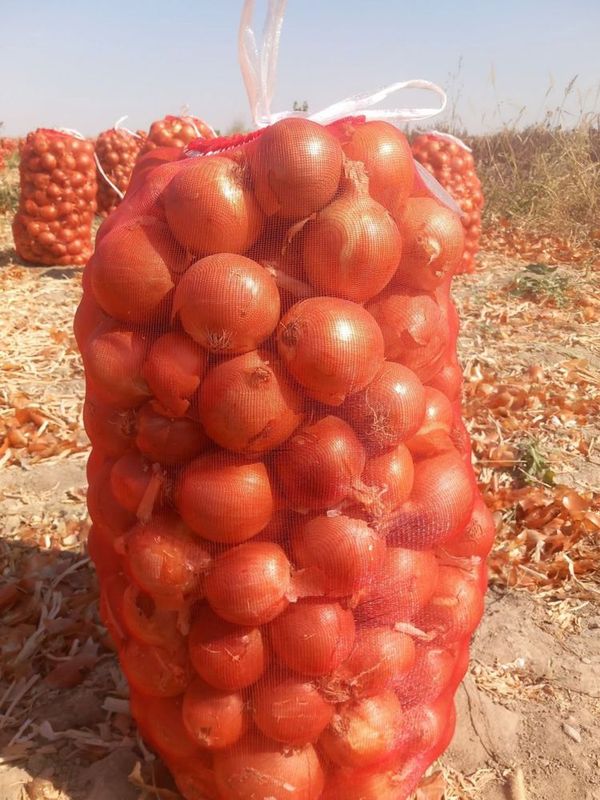 Sotiladi yaxshi pishgan qishga turadigan piyoz