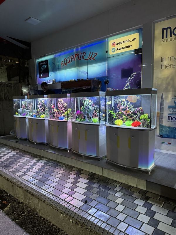 Akvarium Magazin Mirobod va Sergili Akvarium Magazin Mirobod va Sergili