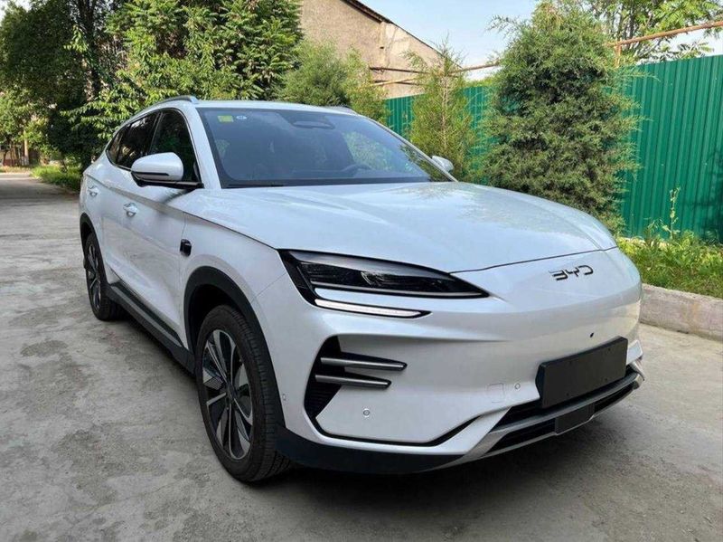 BYD Chempion Smart 2025 BYD Chempion Smart 2025