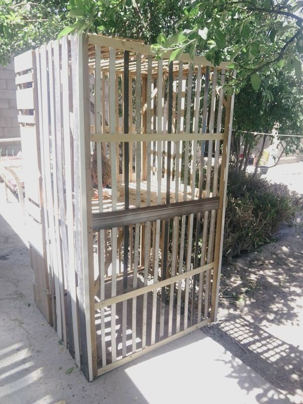 Tavuq xórozlarga kataklar sotiladi Tavuq xórozlarga kataklar sotiladi