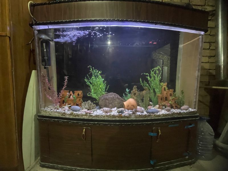 Akvarium Akvarium