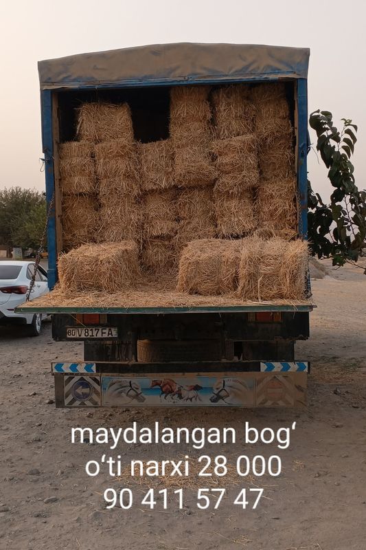 bogʻ oʻti xammasi yaxshi bogʻ oʻti xammasi yaxshi