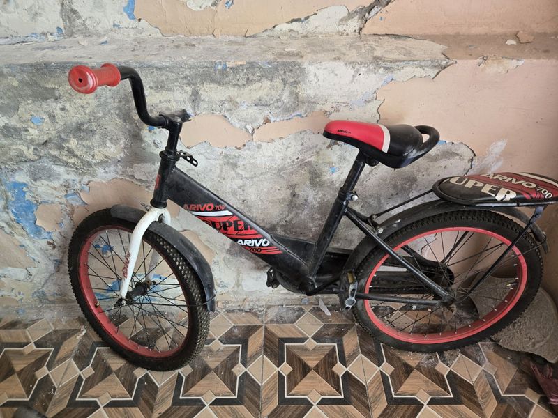 Velosiped ruli singan