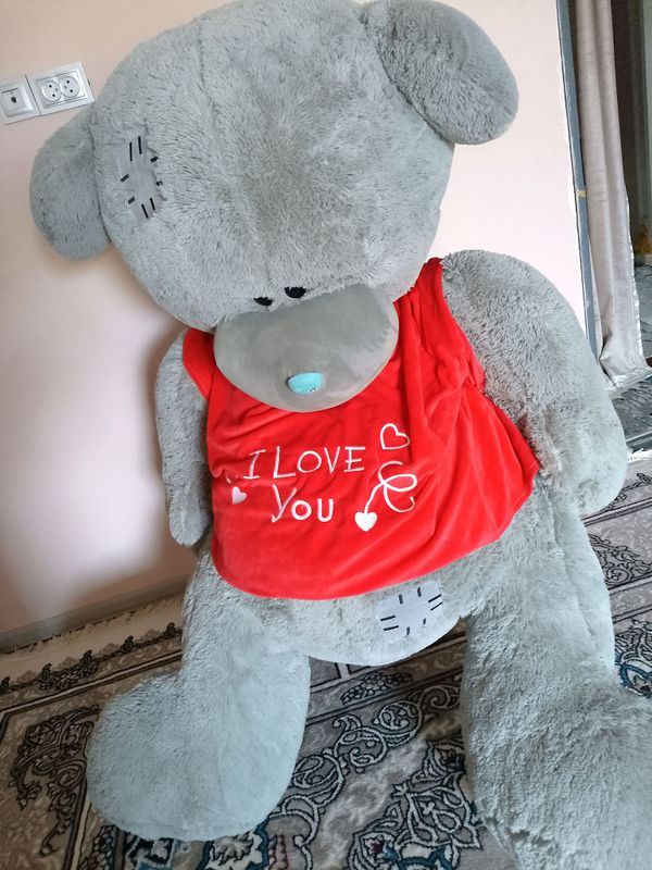 "Teddy " sotiladi ogirligi 9 kg 1.80 cm yangi "Teddy " sotiladi ogirligi 9 kg 1.80 cm yangi