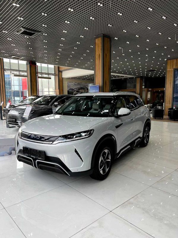 BYD YUAN UP 401 km