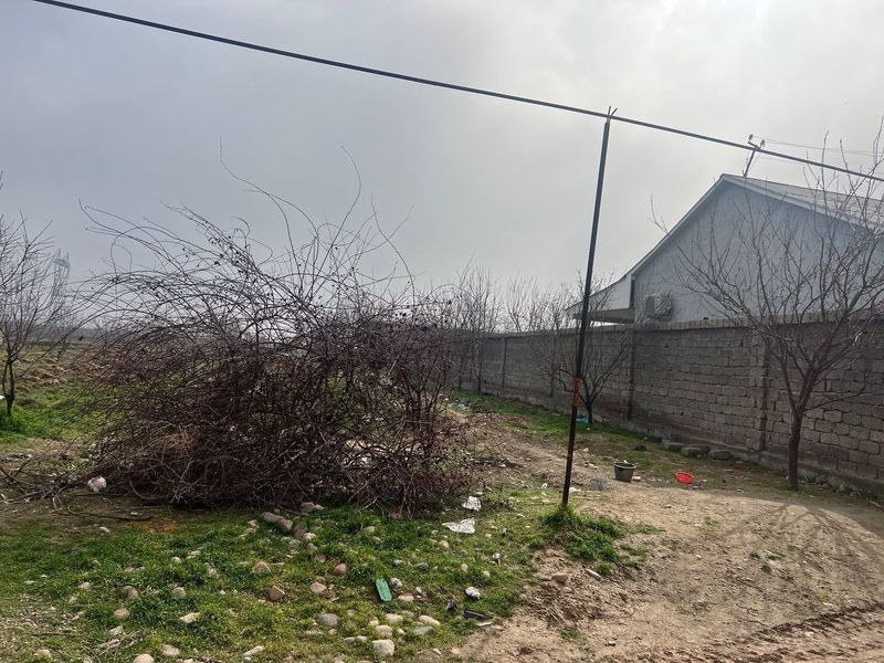 Тошкент тумани ер 15000