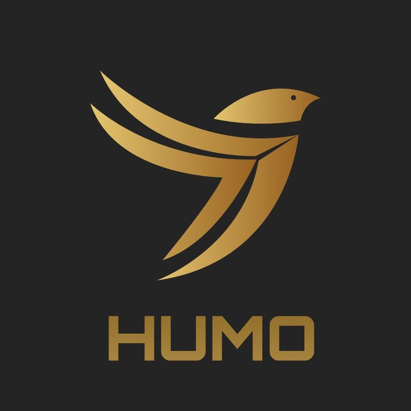 Строительная фирма ООО Anisa Yasmin group (HUMO CONSTRUCTION)