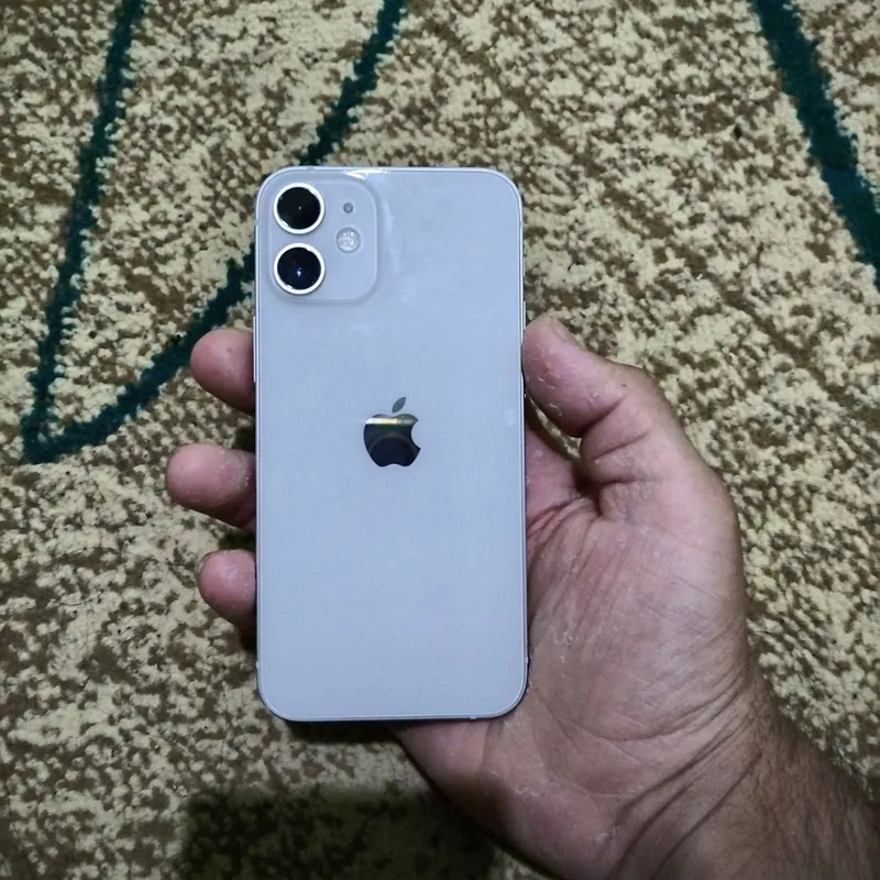 iphone 12 mini ideal