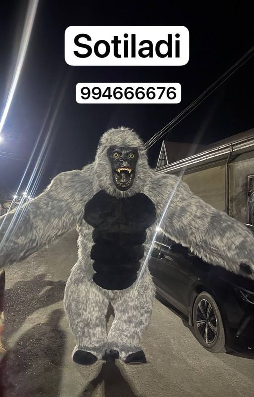 Gorilla sotiladi