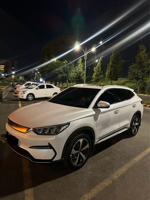Byd song plus 2023 Byd song plus 2023
