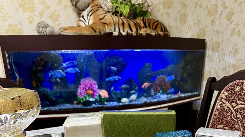 Akvarium sotiladi 750litr Akvarium sotiladi 750litr
