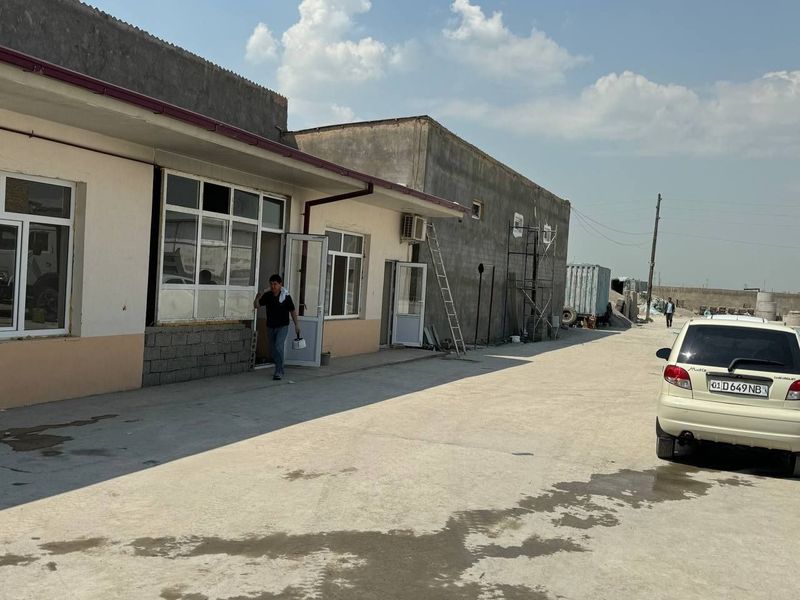 Yangi uzbekiston t obrazka birinchi lina yer sotiladi