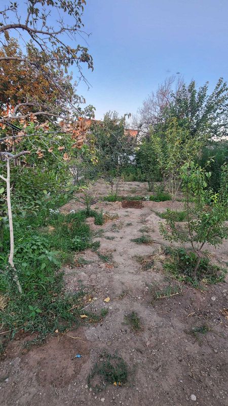 Zarafshon shahar misgarlardan dacha sotiladi.Yashash uchun sharoit bor
