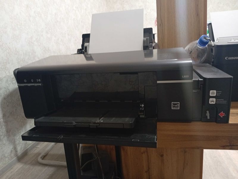 Epson L800 printer