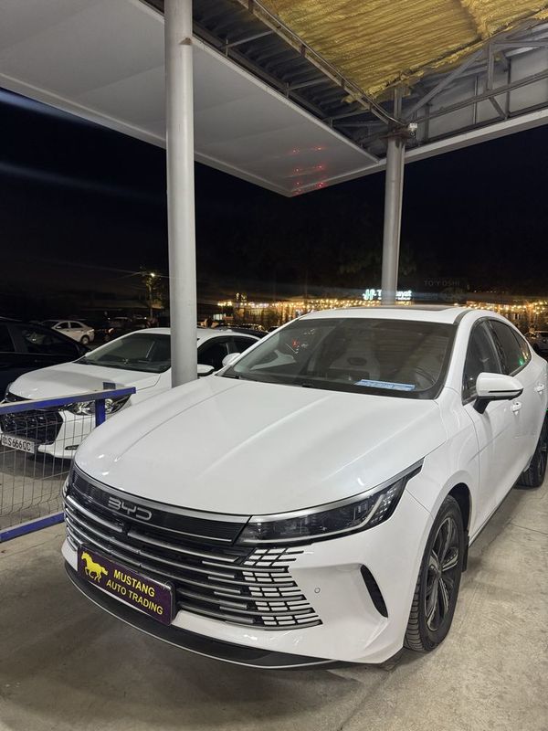 BYD Chazor 2023 yil 78.000 km toza