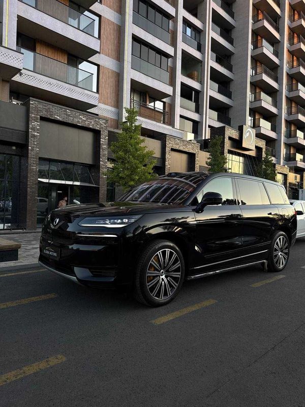 Denza N9 1300 Flagship