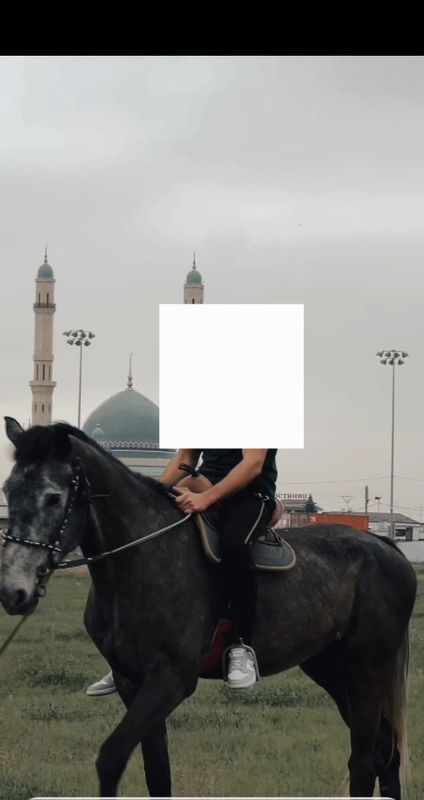 Sport Oti Spartivniy Ot Sport Oti Spartivniy Ot