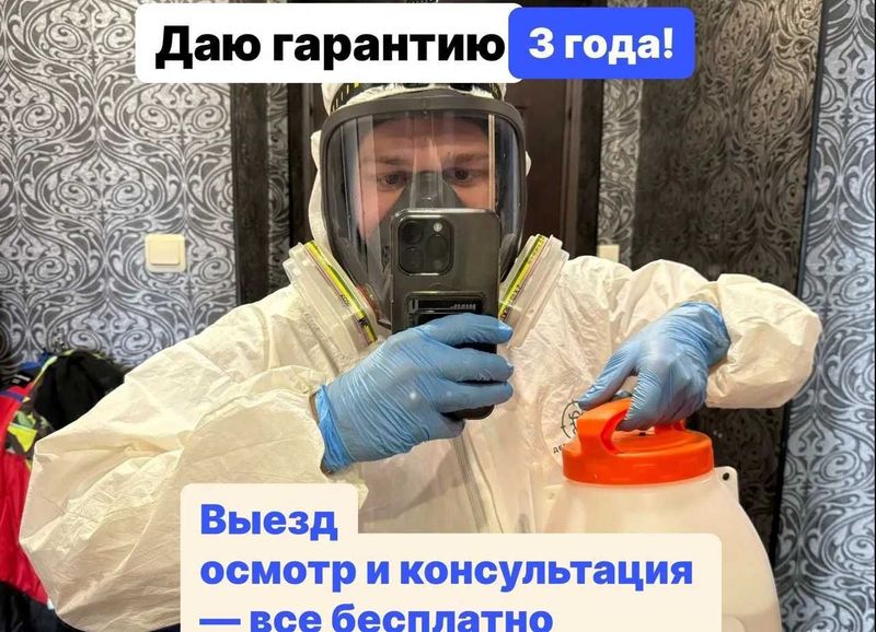 Дезинфекция клопы тараканы блохи муравьи крысы | Гарантия 100%