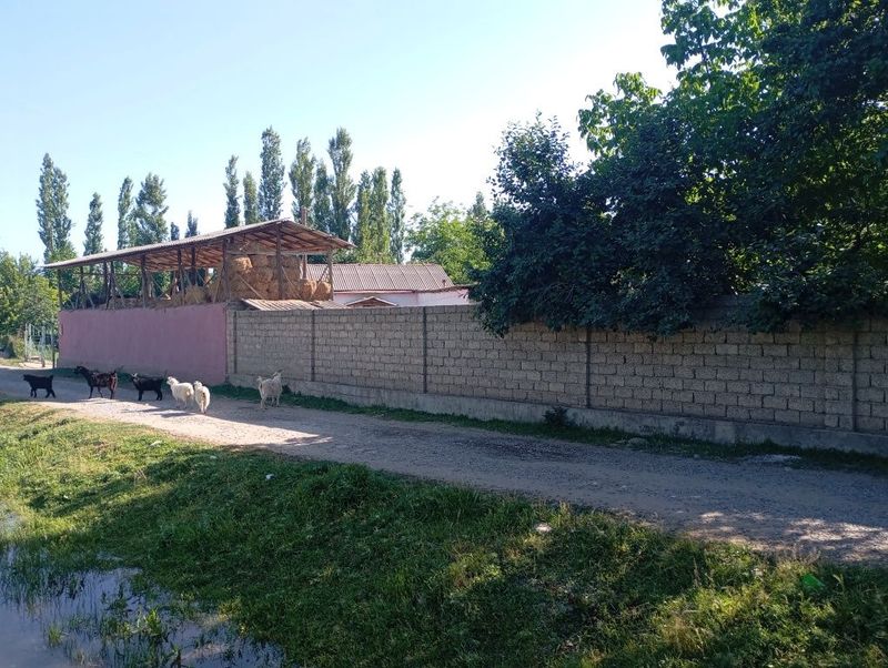 Уй ховли сотилади 5 хонали Уй ховли сотилади 5 хонали