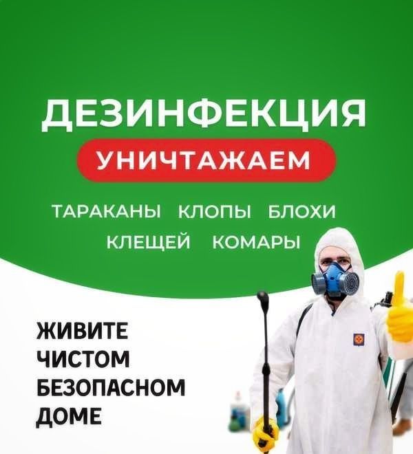 Дезинфекция без запаха офис квартир квартир склад