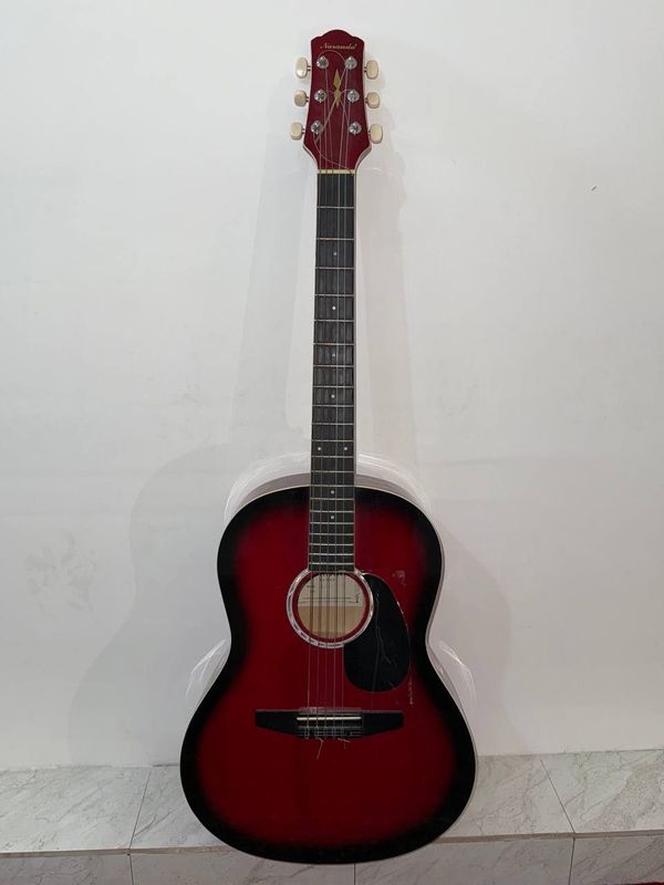 Gitara arginal sotiladi