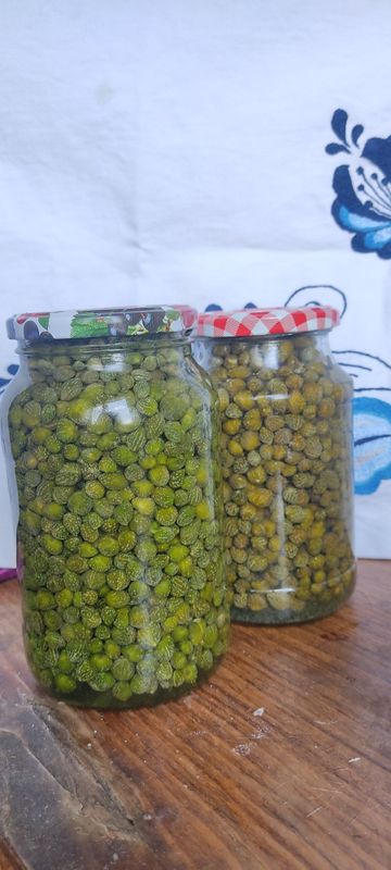 Продаются каперсы Продаются каперсы