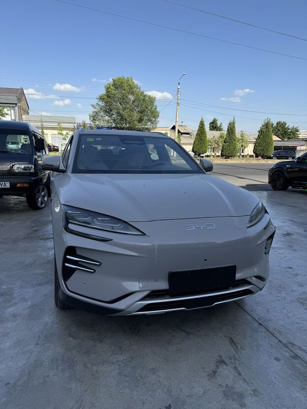 Byd Champion Smart narda grey Byd Champion Smart narda grey