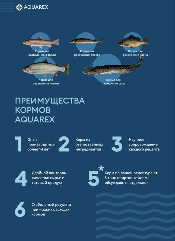 N1 Российский Рыбный корм “Aquarex” N1 Российский Рыбный корм “Aquarex”