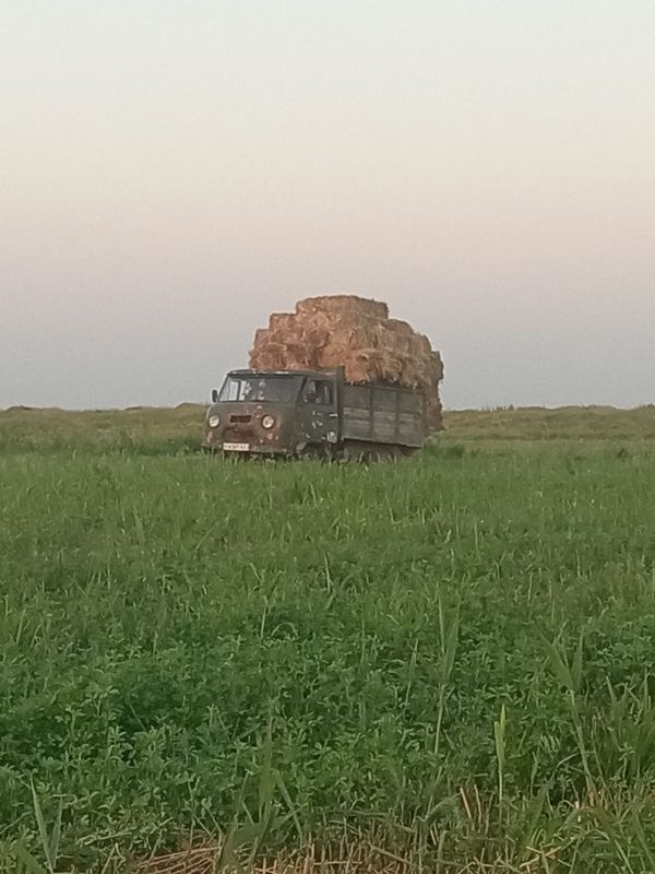 UAZ bortli sotiladi UAZ bortli sotiladi