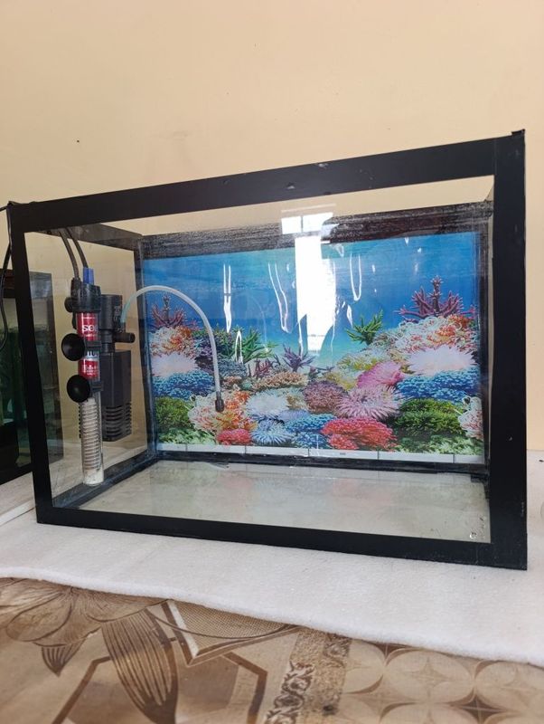 Akvarium sotiladi 40 litir Akvarium sotiladi 40 litir