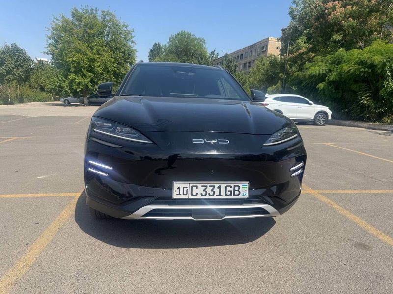 BYD Chenpion 2023