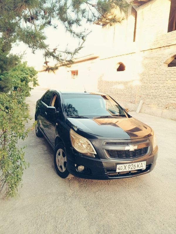 Kobalt soʻyladi 2014yil pul zarl