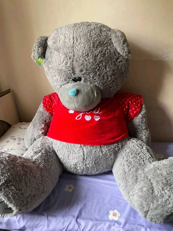 Teddy ayiq holati ideal 160sm