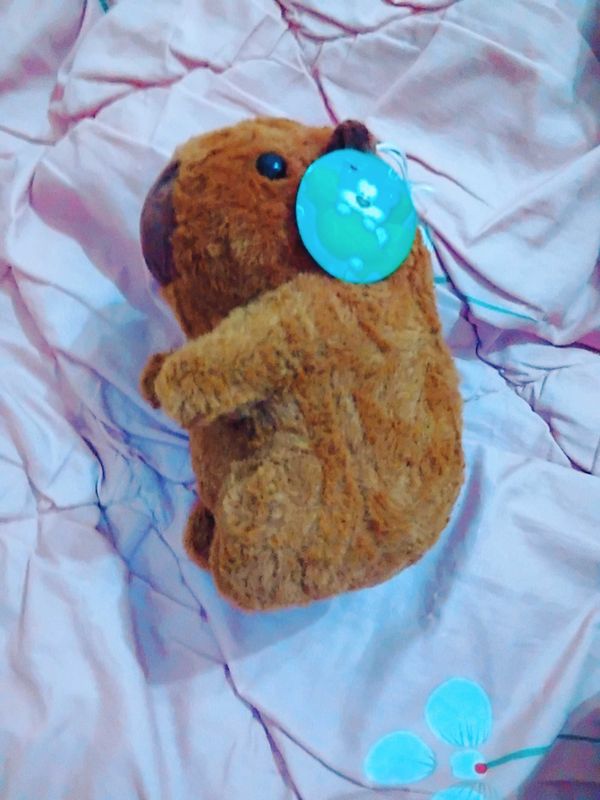 Игрушка капибара